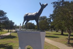 A mediados de marzo le volvieron a cortar los cuernos al "Venadito"