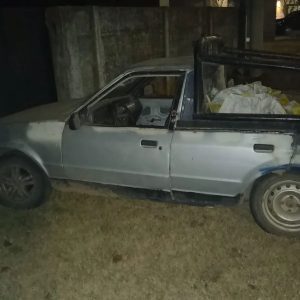 El hombre en su defensa dijo haberlo hecho por necesidad para alimentar a sus gallinas. 