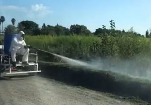 Personal de la Comuna de Bombal lleva adelante fumigación de los contornos de la localidad 
