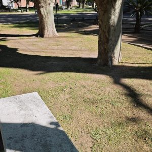 Ejemplo de una carpeta verde completamente castigada por los cortes al ras 