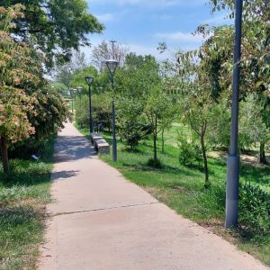 Incrementas la sombra y los jardines contribuye a tener espacios verdes de calidad