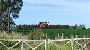 Las taperas, una gran oportunidad para la biodiversidad 