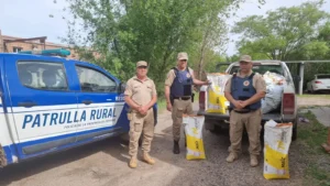 Parte de la carga encontrada en septiembre pasado