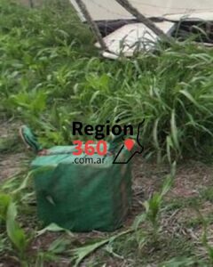 El bulto encontrado junto a la aeronave siniestrada