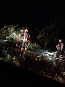 Bomberos de Alcorta y personal de la EPE trabajan en la remoción de árboles y cables que cayeron sobre la traza de la Ruta 90