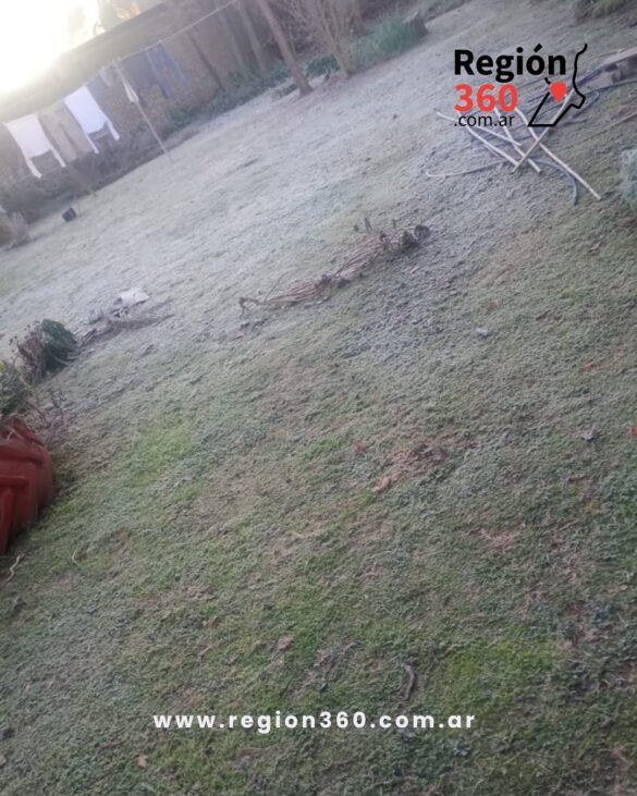 WhatsApp Image 2026-07-06 at 10.03.51 AM